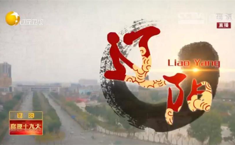 旌旗引领振兴---走进辽阳智慧社区福民社区智慧厅